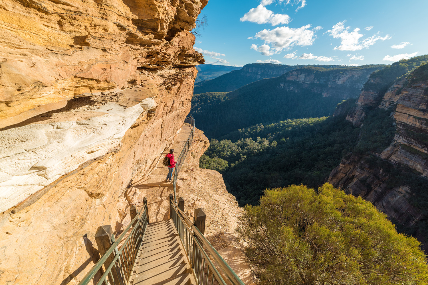 Blue Mountains